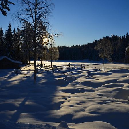 فيلا The Old Logging Camp Yttermalung المظهر الخارجي الصورة