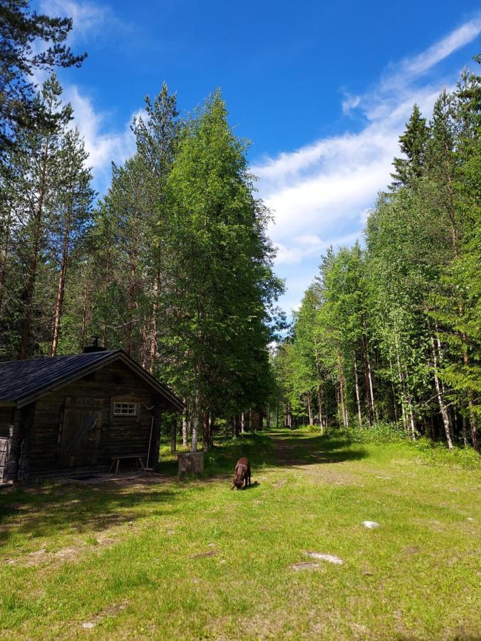 فيلا The Old Logging Camp Yttermalung المظهر الخارجي الصورة
