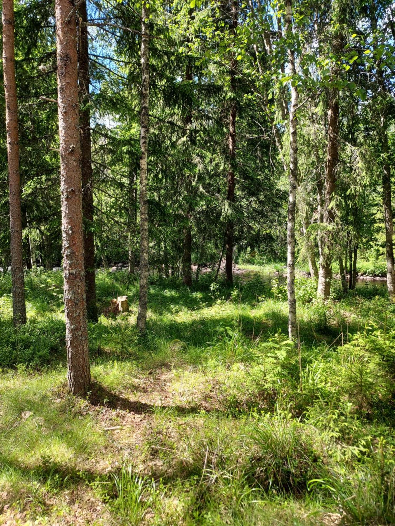 فيلا The Old Logging Camp Yttermalung المظهر الخارجي الصورة