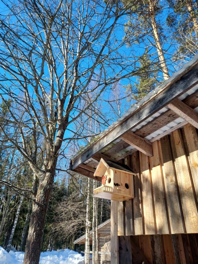 فيلا The Old Logging Camp Yttermalung المظهر الخارجي الصورة