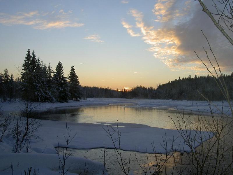 فيلا The Old Logging Camp Yttermalung المظهر الخارجي الصورة