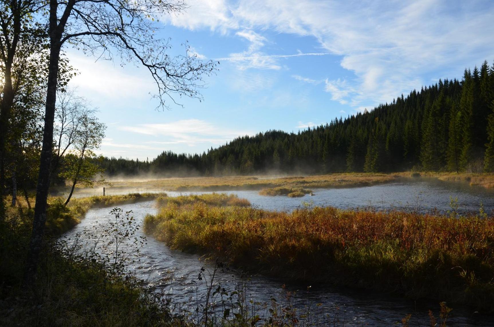 فيلا The Old Logging Camp Yttermalung المظهر الخارجي الصورة