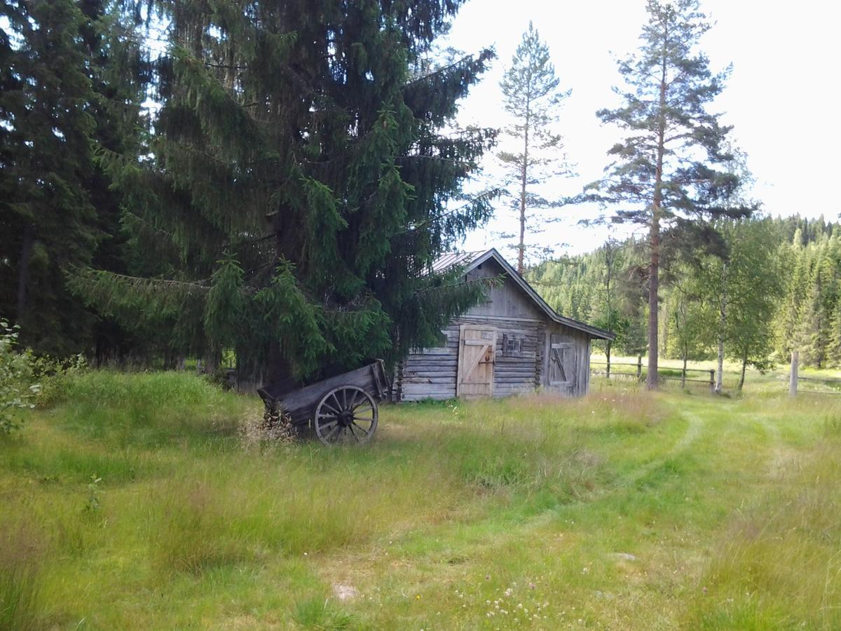فيلا The Old Logging Camp Yttermalung المظهر الخارجي الصورة